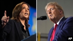 Demokrat Parti başkan adayı Kamala Harris ile rakibi Cumhuriyetçi Donald Trump seçime bir hafta kala çekişmeli eyaletlerde miting düzenliyor.